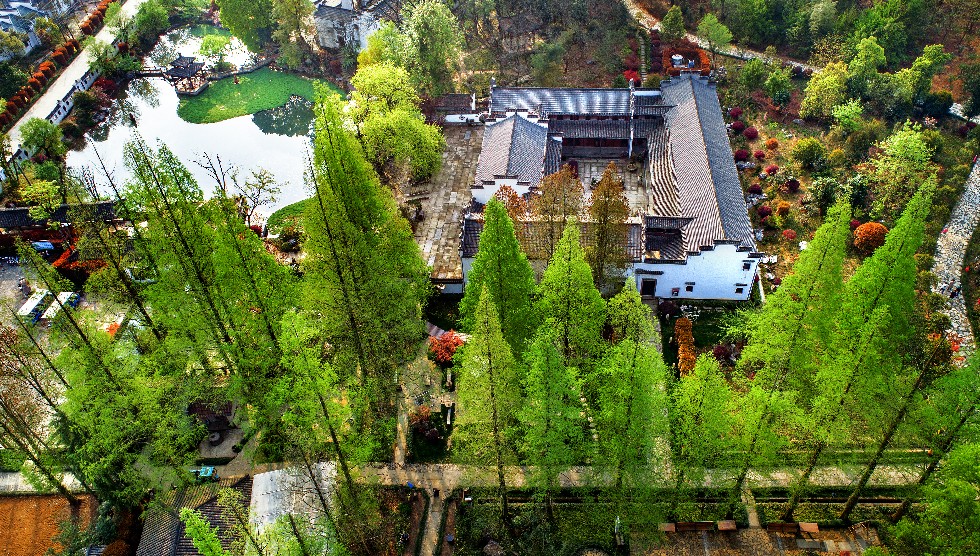 马头祥3.jpg