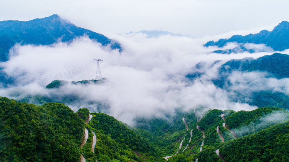 通栏图片